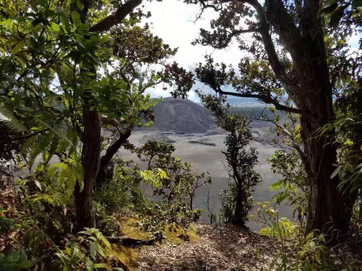 Volcano Forest Inn Экстерьер фото